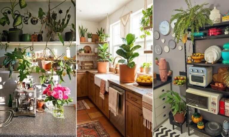 18 Kitchen Plants Ideas for 2026