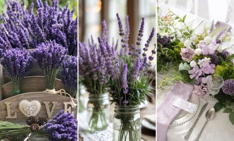 21 Lavender Flowers Ideas for 2026