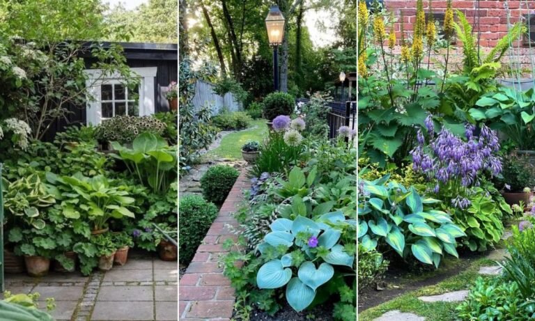 21 Shade Garden Ideas for 2026