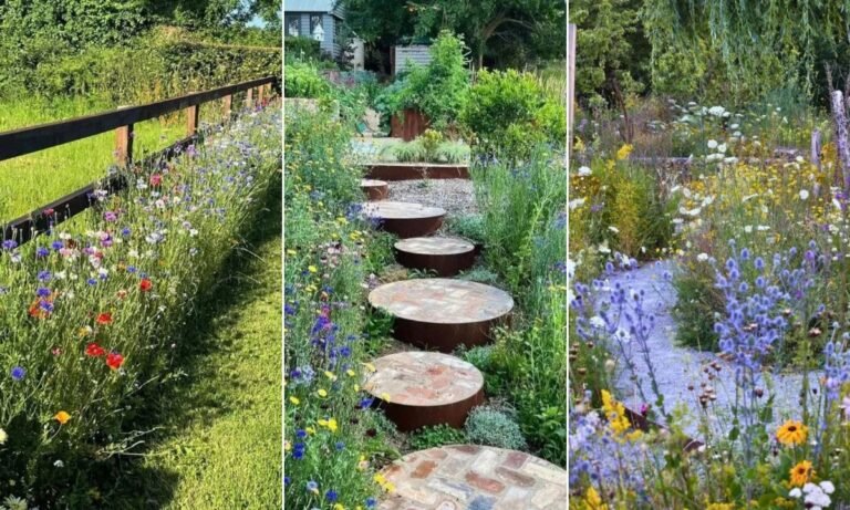 23 Wild Flower Garden Ideas for 2026