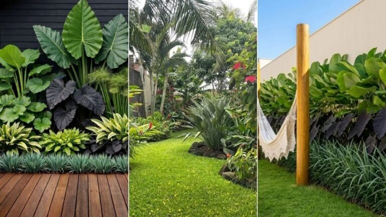 25 Tropical Garden Ideas for 2026