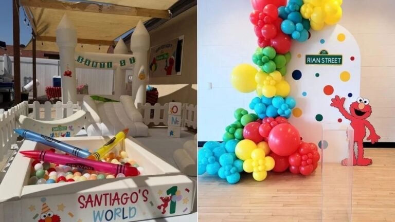 24 Elmo Birthday Party Ideas