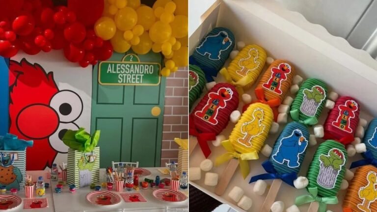 24 Sesame Street Birthday Party Ideas